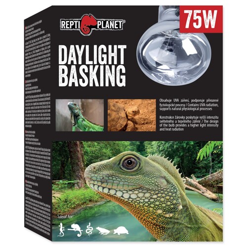 Žárovka Repti Planet Daylight Basking Spot (75W)