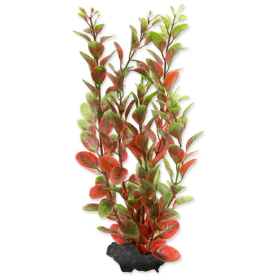 Rostlina TETRA Red Ludwigia (M)