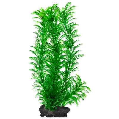 Rostlina TETRA Green Cabomba (L)